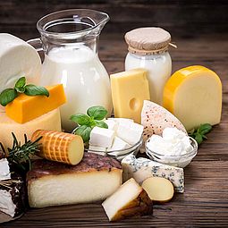 Applikation: Stickstoff und Protein in Milchprodukten