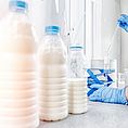 Application of NPN in milk and dairy products