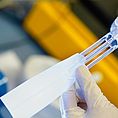 Frazionamento delle proteine grezze secondo VDLUFA