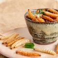 Applicazione: Chitina negli insetti